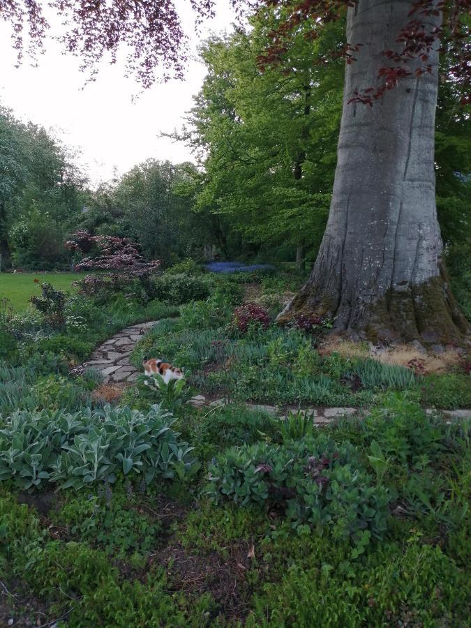 Chambre Le Notre Le Domaine Des Jardins De Bracquetuit エクステリア 写真